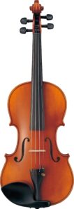 Braviol violin - V10G