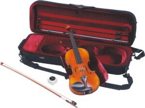 Braviol Violin - V10Sg