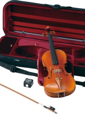Braviol violin - V20SG