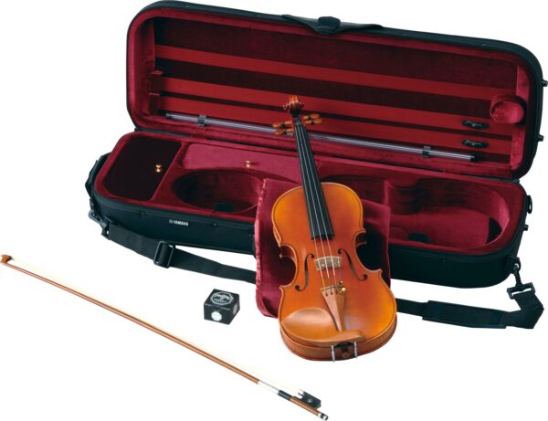Braviol violin - V20SG
