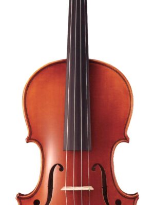 V7G Braviol acoustic violin