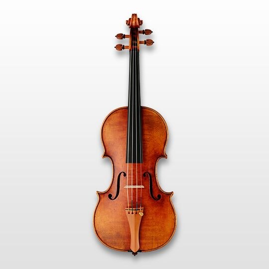 Artida Violin – YN500s