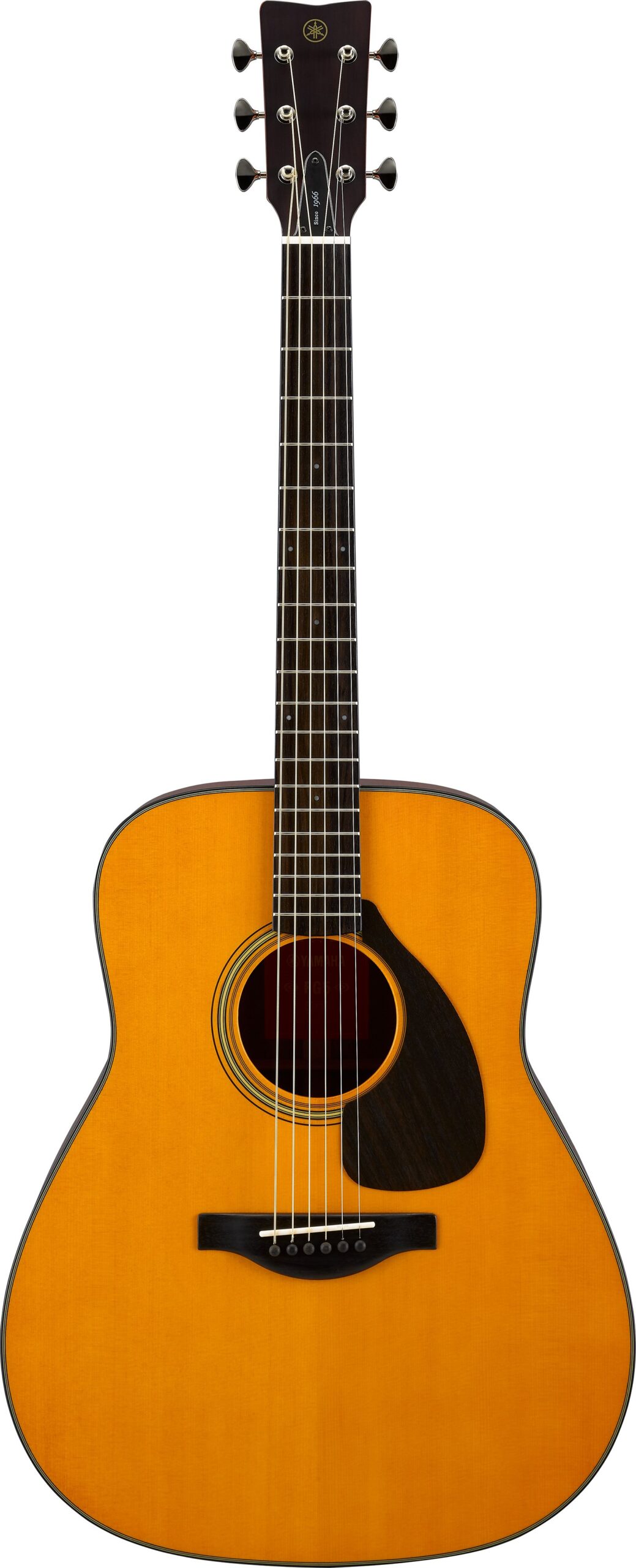 FG5 – Acoustic Guitar