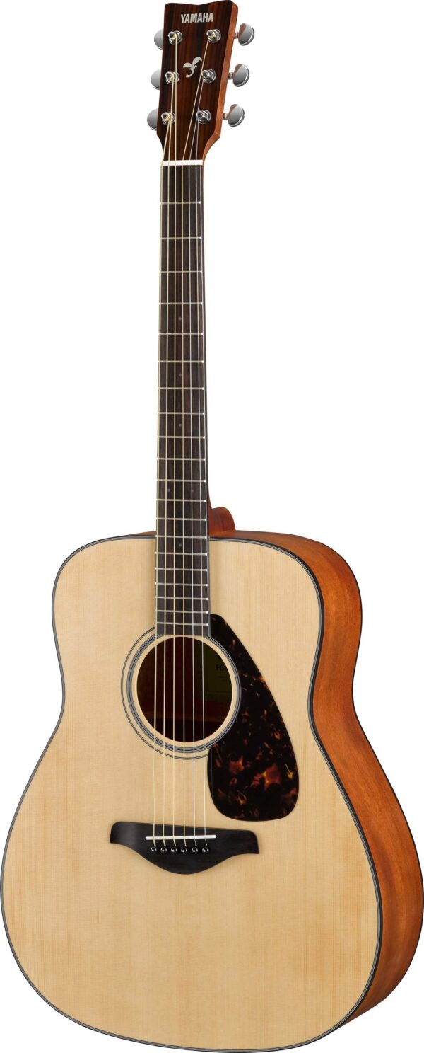 FG800M acoustic guitar