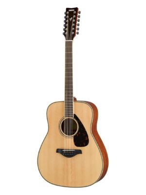 FG820-12 acoustic guitars