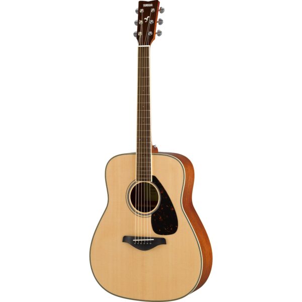 FG820 acoustic guitar