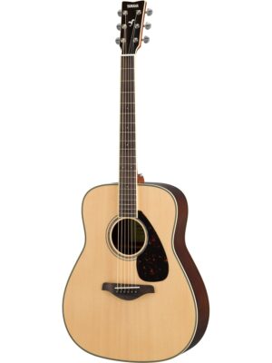 FG830 acoustic guitar