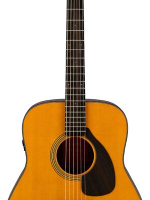 FGX5 acoustic guitar