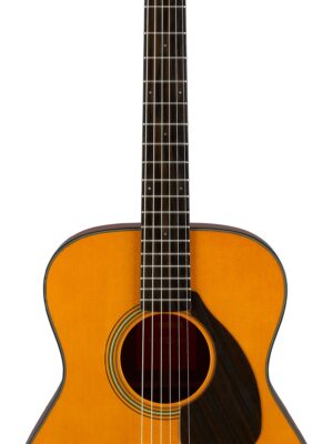 FS5 acoustic guitar