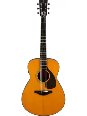 FSX5 acoustic guitar